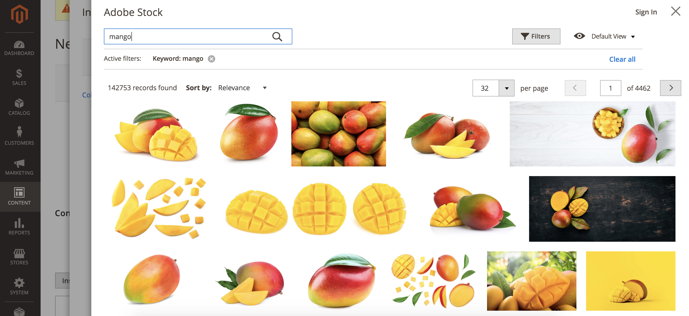 Adobe Stock Search Results for the "mango" keyword