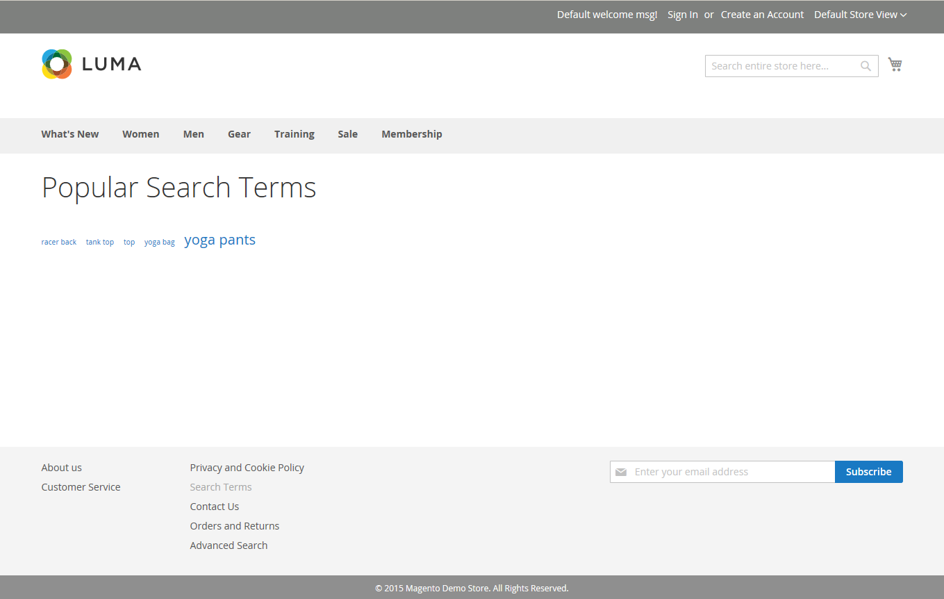 Example storefront - popular search terms